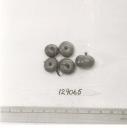 Click for 1 image(s) for this accession. FRUIT